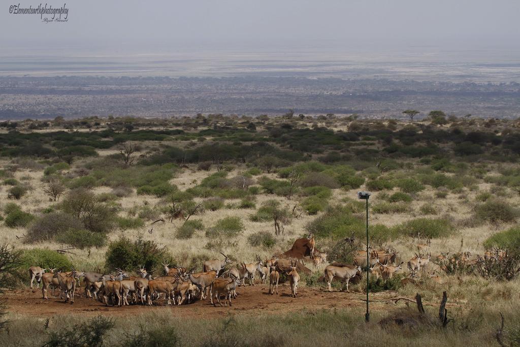 Elerai Camp Hotel Amboseli Buitenkant foto
