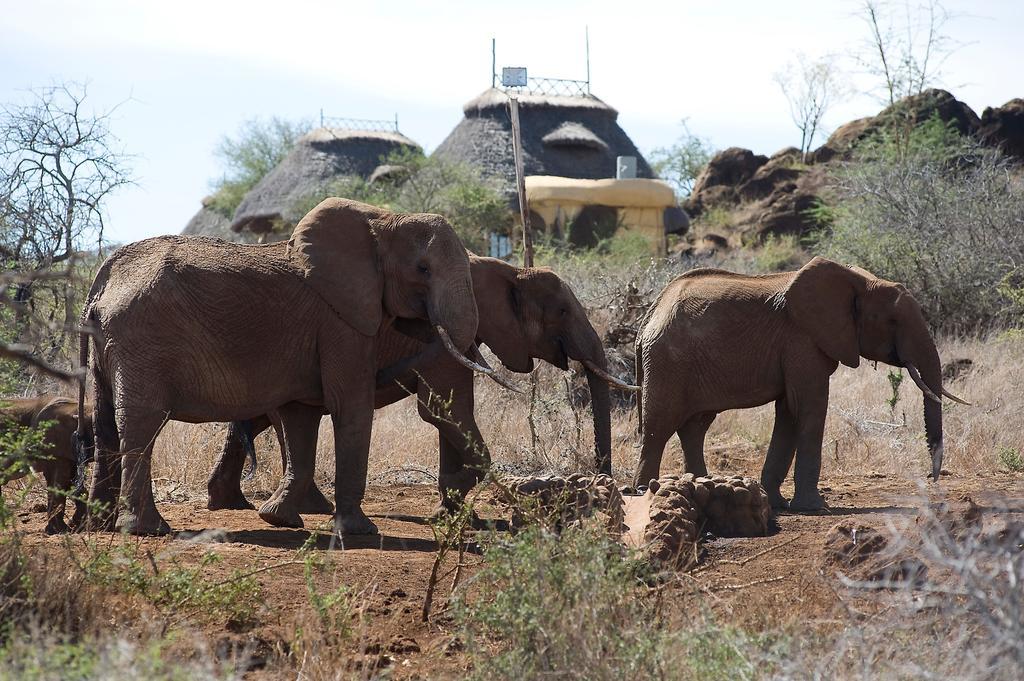Elerai Camp Hotel Amboseli Kamer foto